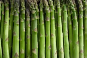 ASPARAGUS 'Mary Washington' 25 seeds vegetable HEIRLOOM - Picture 1 of 1
