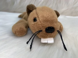 TY Beanie Babies BUCKY the Beaver Plüschtier Sammlerstück aus dem Ruhestand 1995 - Bild 1 von 14