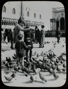Magic Lantern Slide FEEDING PIGEONS ST MARKS SQUARE VENICE C1930 VINTAGE PHOTO - Picture 1 of 2