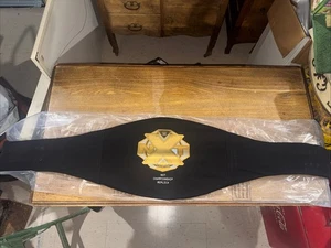 WWE NXT Championship Replica Title Belt Authentic WWE Shop New w/ Bag - Picture 1 of 7