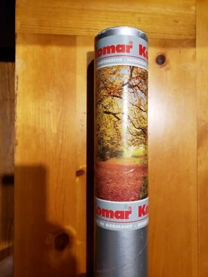 Papel Pintado "Komar" Foto Mural Otoño Bosque Tema 12'9" x 8'10" (NUEVO) Foto 1 de 3