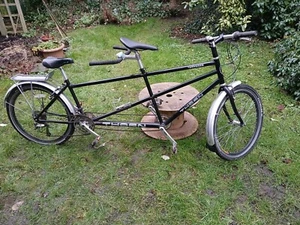 Tandem Thorn Voyager. Little used in good condition - Picture 1 of 4