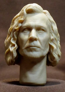 Action figure V119 Gary Oldman SIRIUS NERO HARRY POTTER SCULTURA TESTA scala 1/6 - Foto 1 di 3