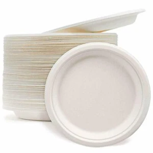 Einweg Party Teller 9" 50 Stück Umweltfreundlich Bagasse Biologisch Abbaubar Stark - Bild 1 von 3