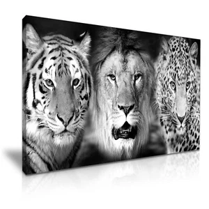 Impresión en lienzo de arte moderno en blanco y negro Tigre León Leopardo ~ 5 tamaños a elegir - Imagen 1 de 7