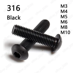 Tornillos hexagonales de acero inoxidable 316 negros Tornillos de cabeza de botón M3/M4/M5/M6/M8/M10 - Imagen 1 de 5