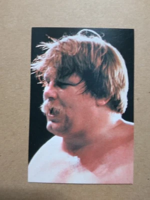 1981 POPY SUPER PURORESU FIGURAS TARJETAS STAN HANSEN Westling Card Foto 1 de 4
