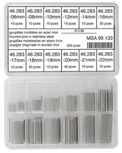 Sortiment Von 200 Zylinderstifte Gekändelt - Horotec 99.133 Ø 0,90 MM 6 Ab 22mm - Bild 1 von 2
