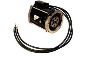 AC 48 Volt EZGO RXV Golf Cart Replacement Motor - Imagen 1 de 1