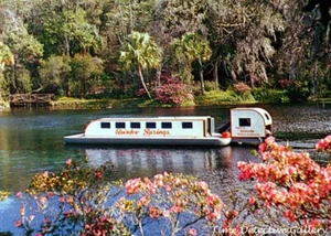 Glasbodenboot, Regenbogenfedern, Florida - 1950er - Vintage Fotodruck - Bild 1 von 1