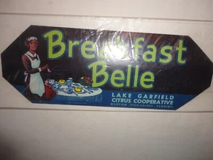 COLAZIONE BELLE LAKE GARFIELD AGRUMI COOP BARTOW POLK CO. ETICHETTA FLORIDA 3x9 - Foto 1 di 1