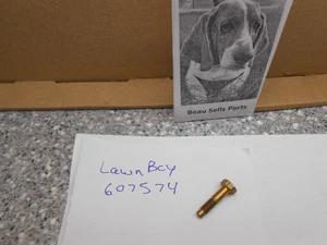 Vite miscela carburante carburatore Lawn-Boy OMC 607574 - Foto 1 di 1