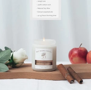 BlissTrip Scented Candles Gifts for Women, 7Oz Apple Cinnamon Aromatherapy - Picture 1 of 9