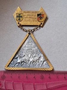 Dülmen Reservistenkameradschaft e. V. Wild-Pferde im im Merfelder Bruch tragbare - Bild 1 von 2