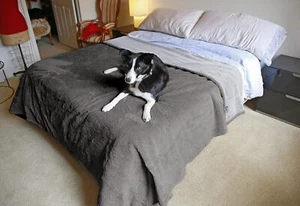 90 x 80 Waterproof Warm Soft Sherpa Fleece Pet Blanket Dog Bed Mat Pad Cushion - Picture 1 of 9