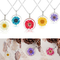 Retro Transparent Resin Dried Flower Daisy Heart Pendant Necklace Chain Jewelry 