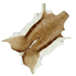 NEW South African Springbok Animal Hide Rug Skin Rug Mat Floor Natural Colour - Picture 1 of 1