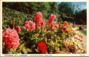 DAHLIA TIME Empress Hotel Gardens VICTORIA B.C. Canada Postcard - Picture 1 of 2