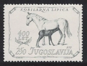 Yugoslavia Horses Lipica Stud Farm 1980 MNH SG#1940 - Picture 1 of 1