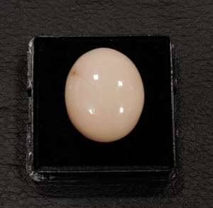 Japanese White Coral Flat Back Oval Cabochon - Pink Coral Cabochon for Ring - Picture 1 of 10