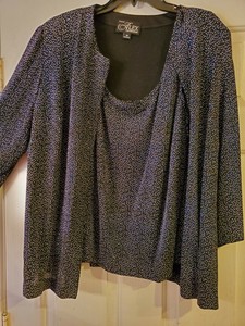 alex evenings twin sets petite