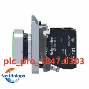 1PZ Nuovissimo Schneider XB4BA3311 Pulsante Verde Testa Piatta Reset Spedizione Rapida - Foto 1 di 1