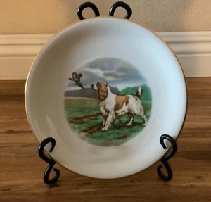 Springer Spaniel Gold Trimmed 7 1/2 in Round Porcelain Collectible Plate Germany - Picture 1 of 4