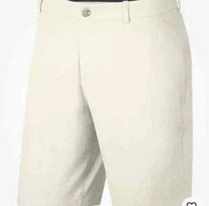 New with tags Men Nike Flex Core Dri-Fit 10" Golf Shorts AJ5493-072 -size 28 - Picture 1 of 3