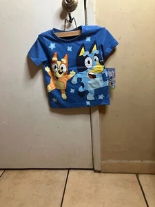 Bluey & Bingo size 2T blue T-shirt - Picture 1 of 2