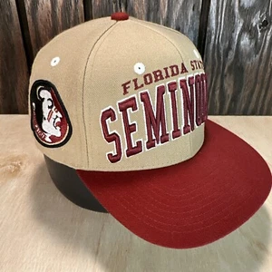 Vintage Florida State Seminoles Hat Snapback Cap Zephyr 90s Y2k Wool NCAA FSU - Picture 1 of 15