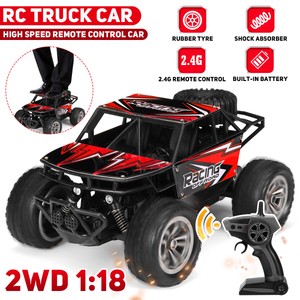 Off-Road 2WD 4WD/2WD Hobby RC Car 