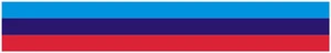 24" Vinyl trim BMW 3 color flag strip sticker decals hood bumper car - Foto 1 di 2