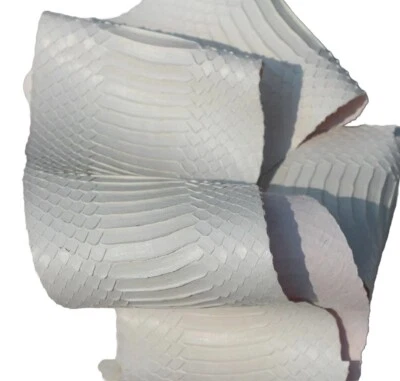 real Cobra SNAKESKIN SNAKE SKIN HIDE tanned Supple leather Satin White - Image 1 of 3