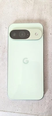 Google Pixel 9 128GB Wintergreen - Garantie - TOP- - Bild 1 von 4