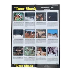 Whitetail Deer Behavior Guide Poster - Picture 1 of 2