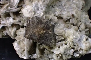 Interessante 3 ZIRKON Kristalle auf ALBIT Kristallen feines Mineral Präparat MSH - Bild 1 von 5