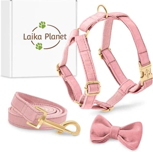 Set Pettorina Guinzaglio E Fiocco per Cane Taglia Piccola Velluto Forma H Rosa - Foto 1 di 6