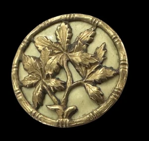 Fancy Antique Celluloid & Brass Picture Button with Botanical Motif ~ 1-1/8" - Picture 1 of 2