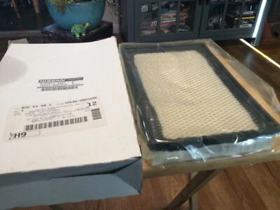 Filtro de aire del motor 12838017 1993-2002 para Nissan Quest y Mercury Villager Foto 1 de 4