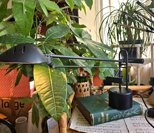 Vintage 80er Massive Of Belgium Minimalist Balance Schwarz Schreibtischlampe Anglepoise MCM - Bild 1 von 22
