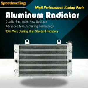 2 Row Aluminum Radiator For Yamaha Rhino 700 2008-2013 - Picture 1 of 9