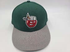 Fort Wayne TinCaps 47 Brand Adjustable Hat Cap Dad Men MiLB Baseball Green Gray