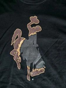 Jungen Mädchen Rodeo Cowboy Bucking Bronco Pferd Tshirt L schwarz Wyoming Grafik  - Bild 1 von 6