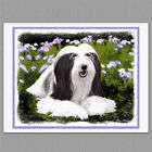 6 Bearded Collie Dog Blank Art Note Greeting Cards