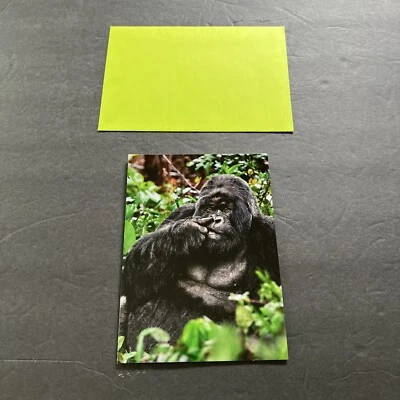 Gorilla Picking Nose Funny Birthday Card - Greeting Card by Avanti Press - Image 1 of 3