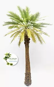 DESERT PALM TREE MODEL 1/72 SCALE. APPROX 18CM. HEIGHT. TPS-007 - Picture 1 of 6