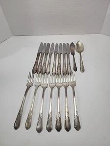 Wm A Rogers A1 Plus Oneida Ltd 1936 MEADOWBROOK HEATHER Silver Plate 17 Pieces - Picture 1 of 5