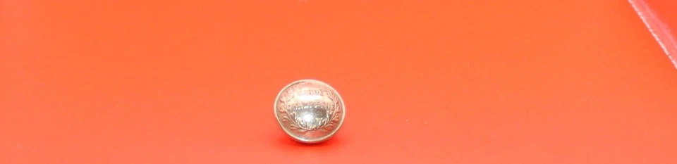 Bouton Garde Champêtre dia 22mm   - Photo 1/1