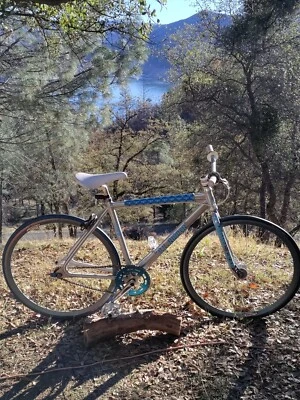 BICICLETA SE x DC PK RIPPER ALUMINIO VELOCIDAD ÚNICA/ENGRANAJE FIJO *RARA* 49 cm Foto 1 de 4