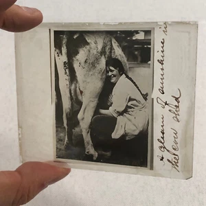 Antique Glass Plate Photo Slide Positive Woman Milking Cow Farm Barn - Picture 1 of 9